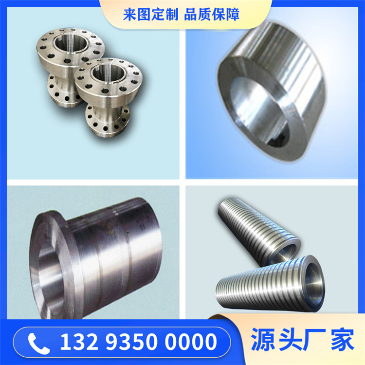 022Cr19Ni13Mo4N不锈钢锻件