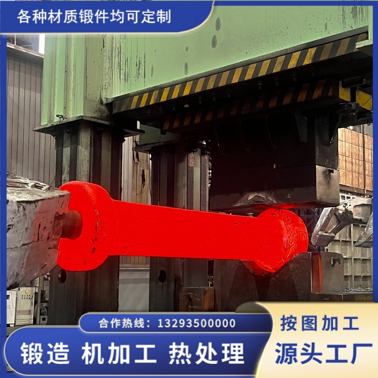 非标升高法兰锻件